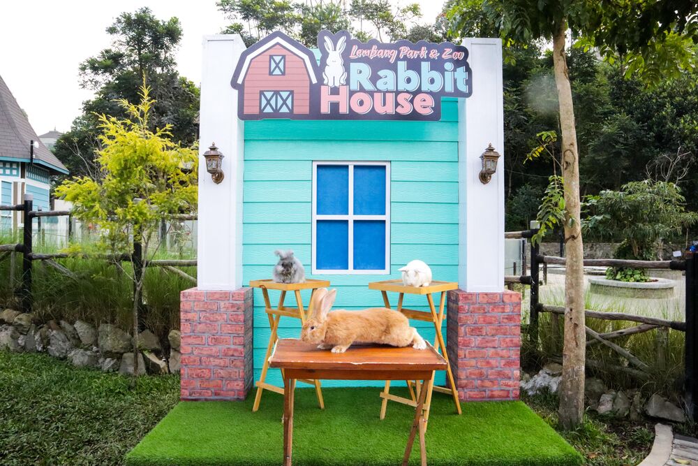 Rabbit House